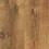 Roble Sutter D 742