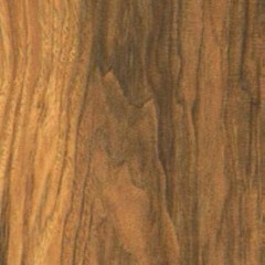 Gold Laminate PRO XL Roble Miel