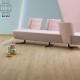 Roble Noon - Etude 22