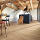 Roble Castillo Claro 6841 - Meister LL250