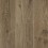 Authentic Oak Brown