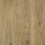 Authentic Oak Honey
