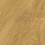 Roble Sunflower D 4588