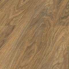 Kronopol Movie Roble Cannes D 4583