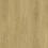 Roble Doñana AC6 PRO-D04 Gold Laminate Diamond PRO