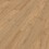 Roble Nova 6413