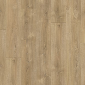 Roble Nova Calizo 4 V 1567468, miniatura 3