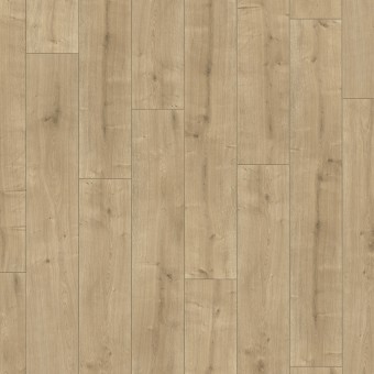 Roble Lijado 1475604, miniatura 3