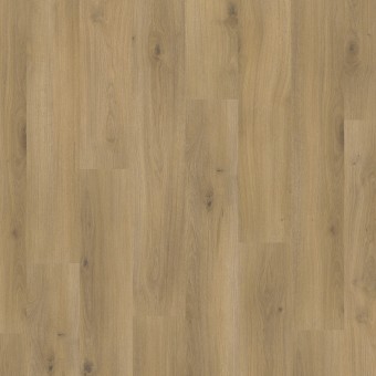 Parador Basic 400 Roble Horizont Natur 1593813, miniatura 2