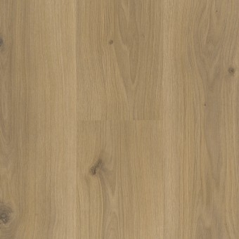 Roble Horizont Natur 1593813, miniatura 3
