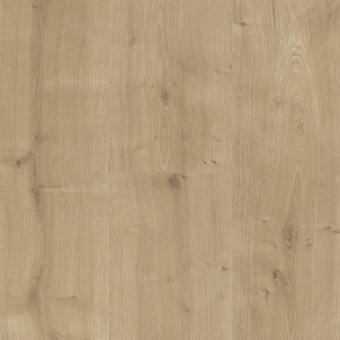 Roble Lijado 1426462, miniatura 3