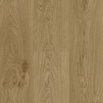 Roble Daisy 62002343 Trendline 8 AC4