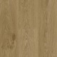 Roble Daisy Trendline 8 AC4