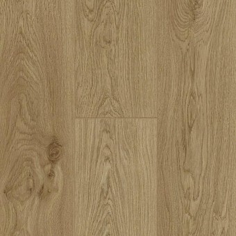 Roble Daisy 62002274 Trendline V4
