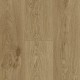 Roble Daisy Trendline V4