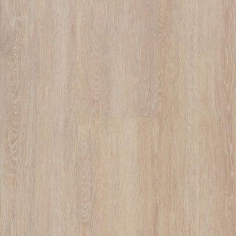 Roble Rossini 62002279 V4 Trendline XL