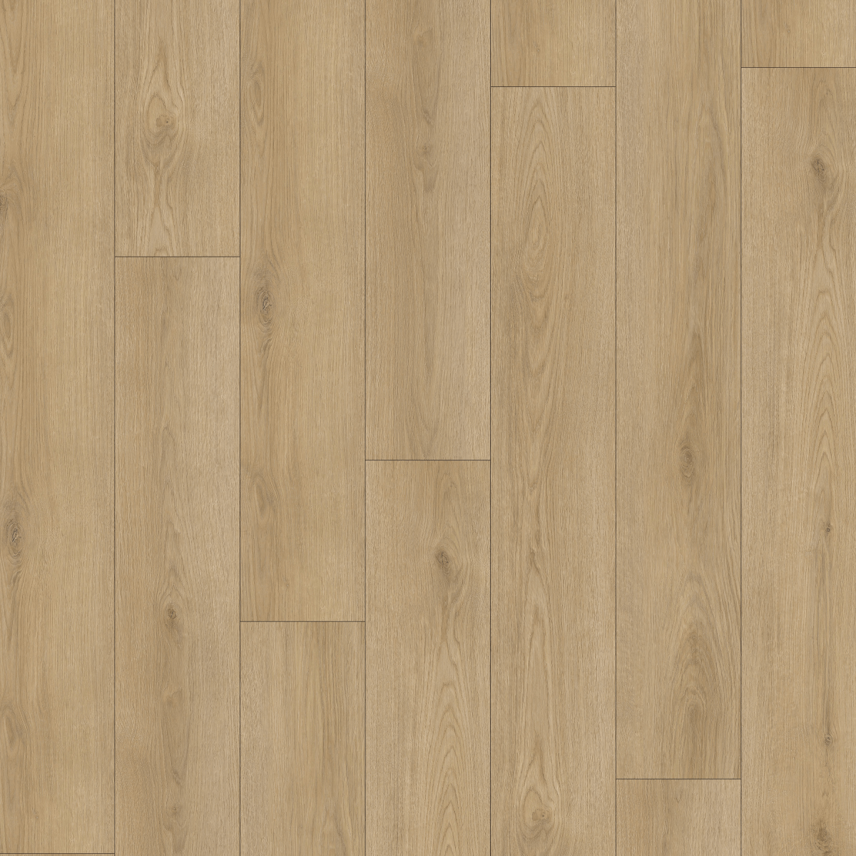 Roble Padua SPC