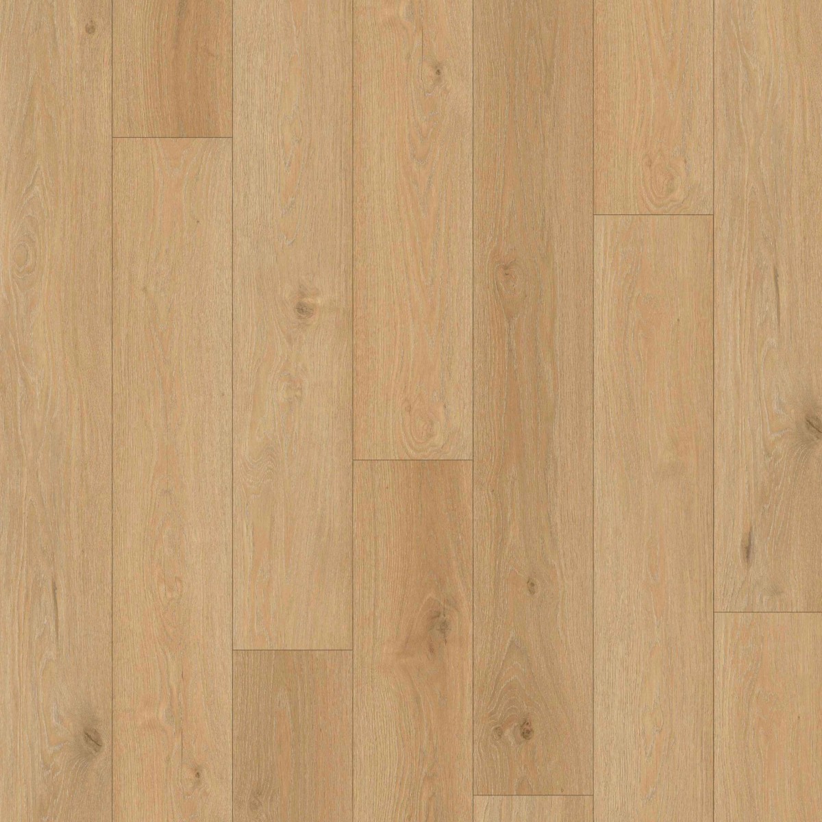 Roble Oporto SPC