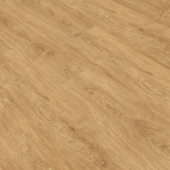 Roble Zafiro PRO811 Gold Laminate PRO 800, miniatura 2