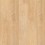 Gold Laminate AC5 Roble Azufre PRO 804