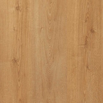 Gold Laminate AC5 Roble Berilio PRO 816