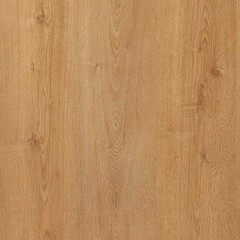 Gold Laminate Pro 800 AC5 Roble Berilio 816