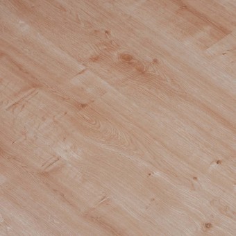 Roble Lantano 817, miniatura 3