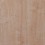 Gold Laminate AC5 Roble Lantano PRO 817