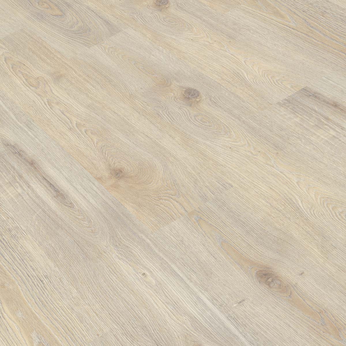 Roble Persa 888