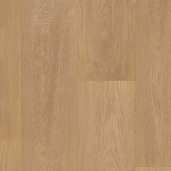 Roble Silvestre 891, miniatura 3