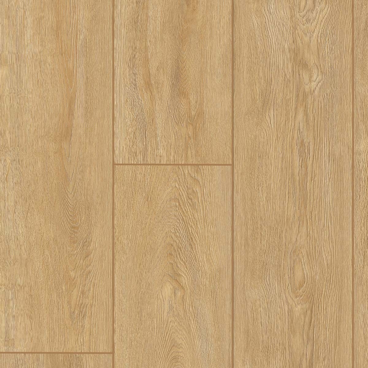 Roble Estocolmo PROG 03