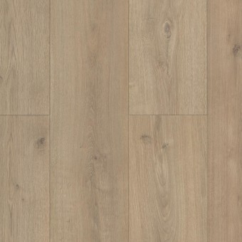 Gold Laminate Gran Real Roble Tokio PROG06