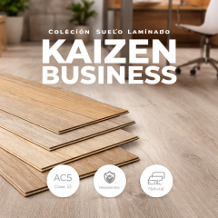 Kaizen Business AC5 
