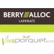 BerryAlloc